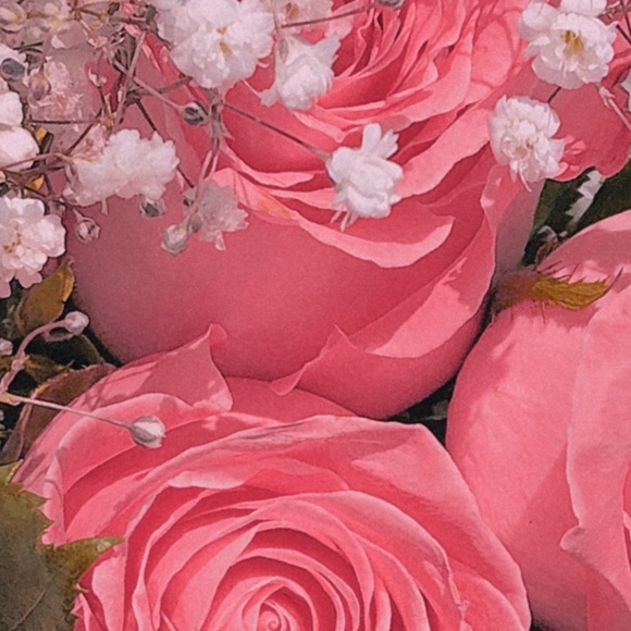 Meet your Posher, Tiara - Picture 1 of 1